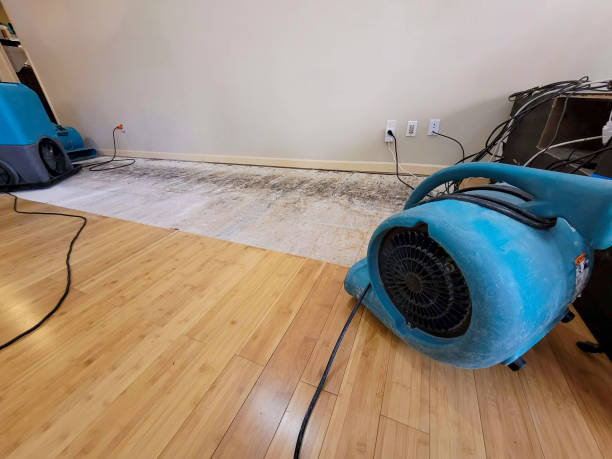 Professional Water Removal technician working in Stoutsville, OH